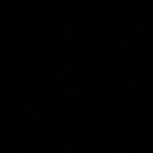 Meet your Posher, Jamin